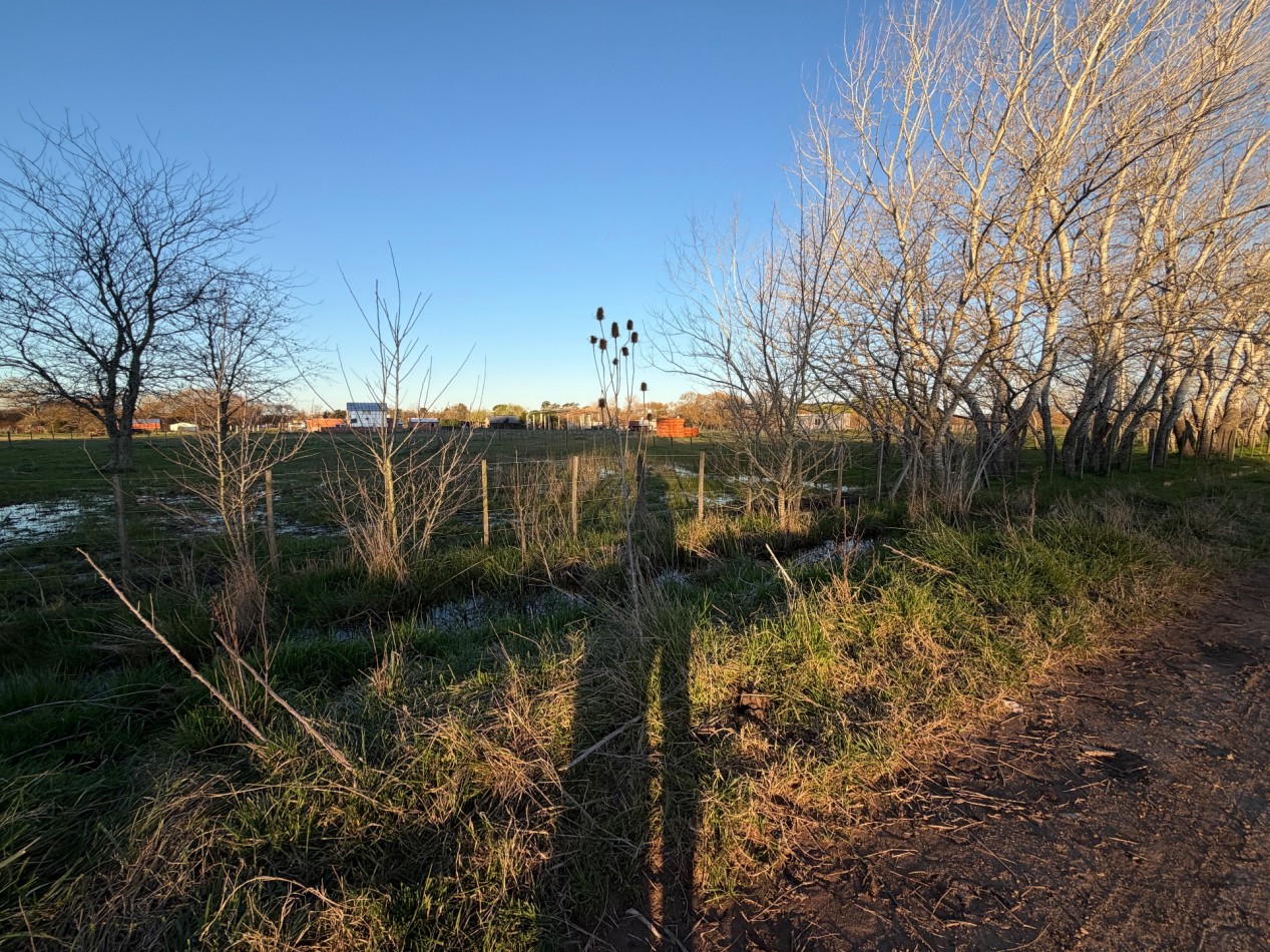 Terreno Gral. Madariaga 