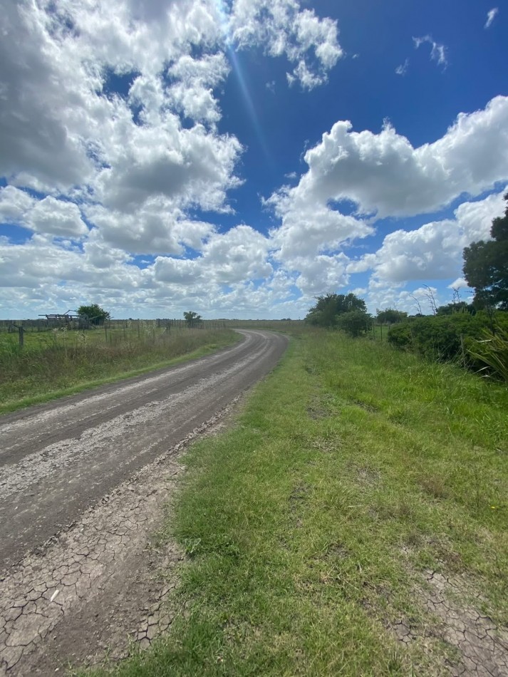 La Paloma