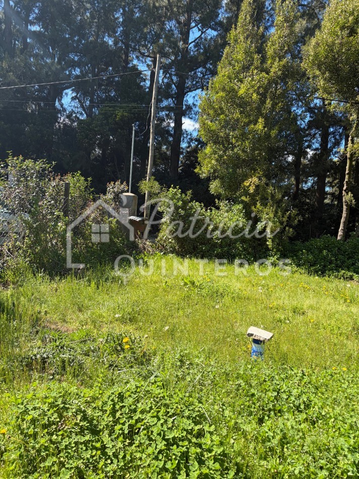 Terreno baldio en venta 