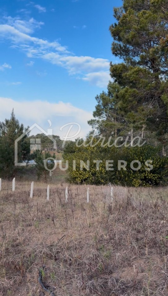 lote en venta Villa Roble