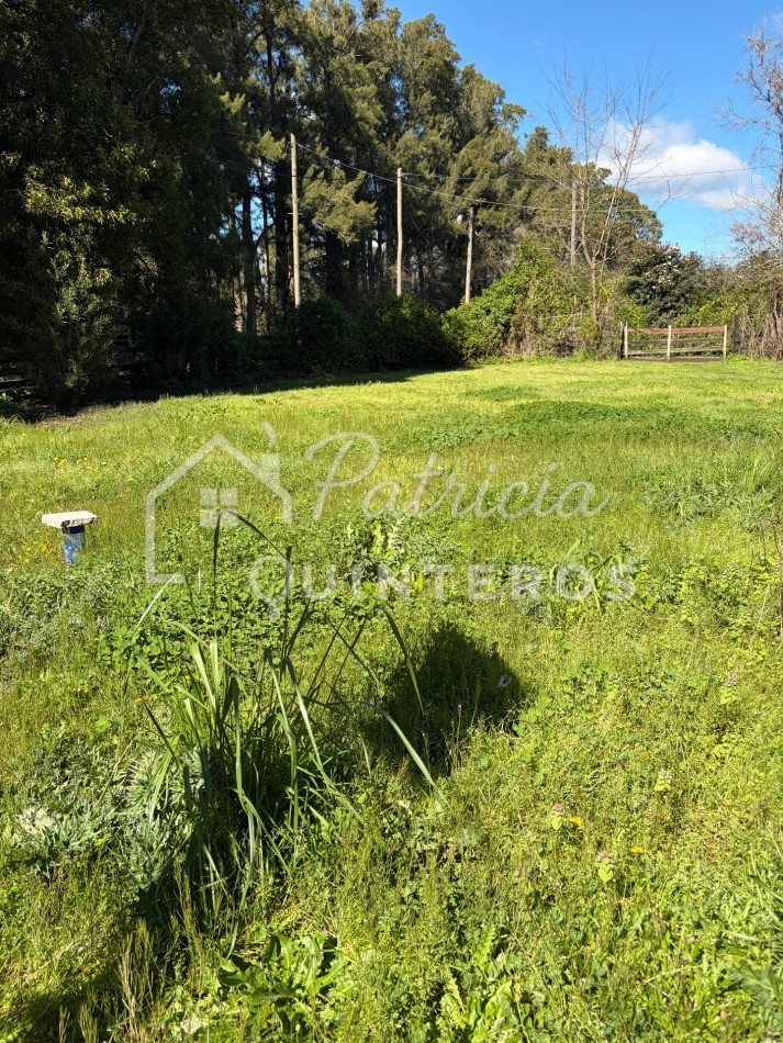 Terreno baldio en venta 