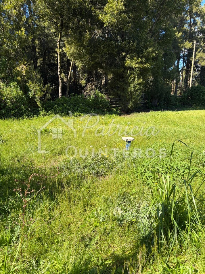 Terreno baldio en venta 