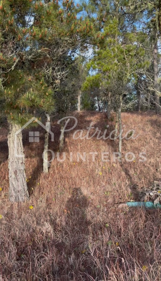 lote en venta Villa Roble
