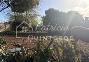 terreno baldio en venta