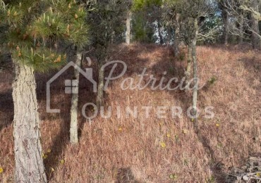 lote en venta Villa Roble